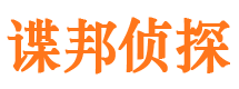 洛扎调查公司